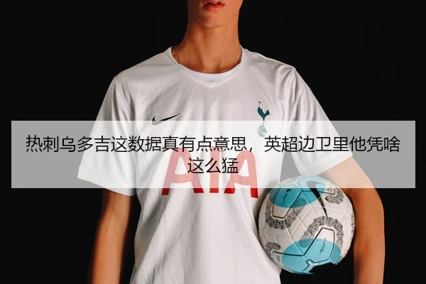 热刺乌多吉这数据真有点意思，英超边卫里他凭啥这么猛