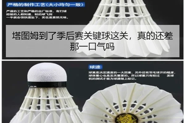ta-tu-mu-dao-le-ji-hou-sai-guan-jian-qiu-zhe-guan-zhen-de-hai-cha-na-yi-kou-qi-ma-2-416.jpg