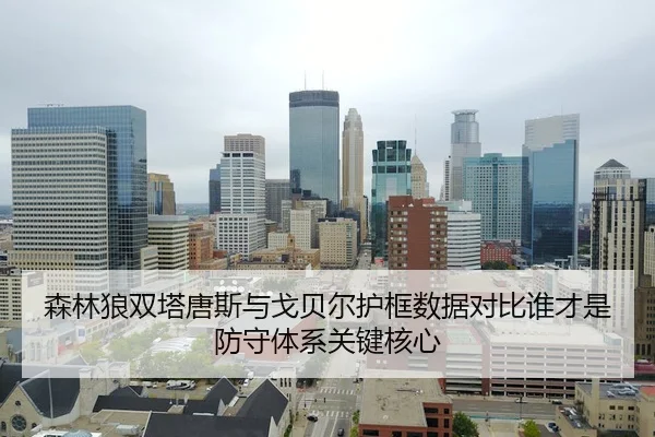 森林狼双塔唐斯与戈贝尔护框数据对比谁才是防守体系关键核心