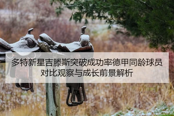 多特新星吉滕斯突破成功率德甲同龄球员对比观察与成长前景解析