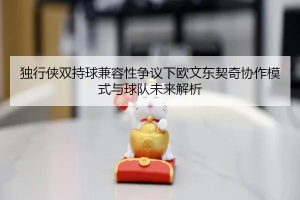 独行侠双持球兼容性争议下欧文东契奇协作模式与球队未来解析